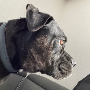 Meet your Posher, Hannah